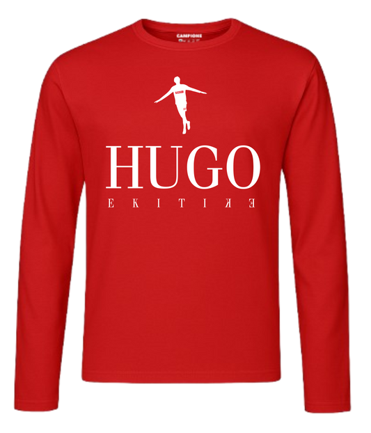 Hugo's Flying Start Home