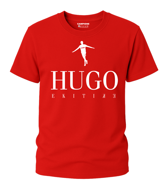 Hugo's Flying Start Home